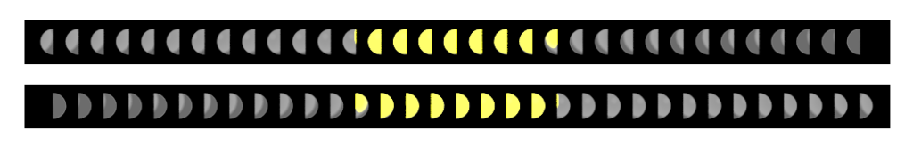 An image showing left and right side images through masked microlenses of an in focus target