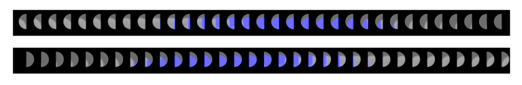An image showing left and right side images through masked microlenses of an near focus target